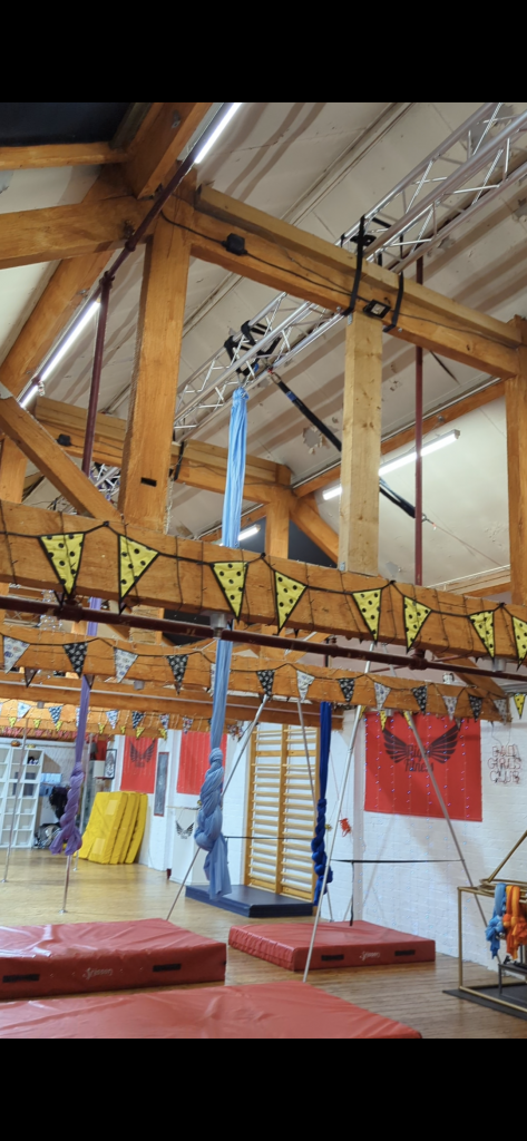 Flight Fitness has a new aerial arts rigging system! - Flight Fitness